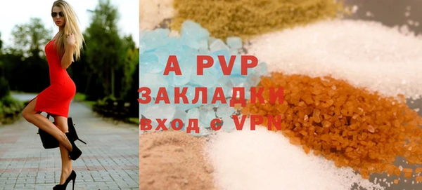 стафф Михайловск