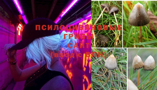 прущая мука Михайловка