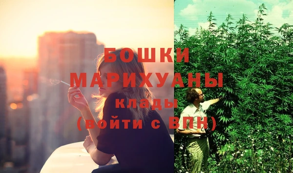 стафф Михайловск
