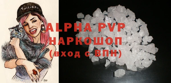 стафф Михайловск