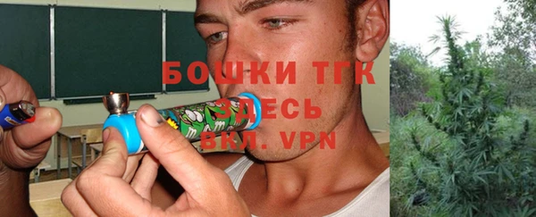 тгк Михайлов