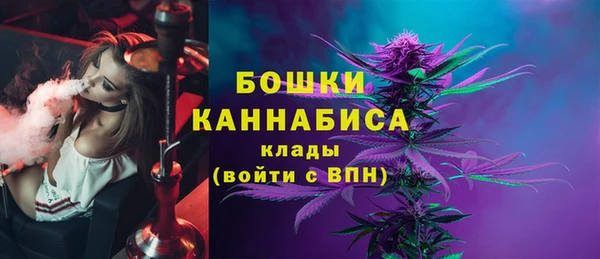 стафф Михайловск