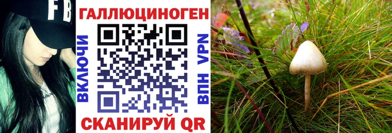 OMG ТОР  Новосибирск  Галлюциногенные грибы ЛСД 